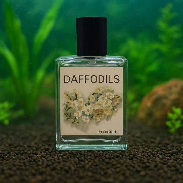 Daffodils - A Warm Touch of Soft Perfume